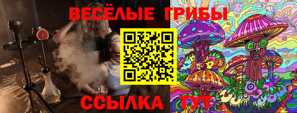 Псилоцибиновые грибы MAGIC MUSHROOMS Азов