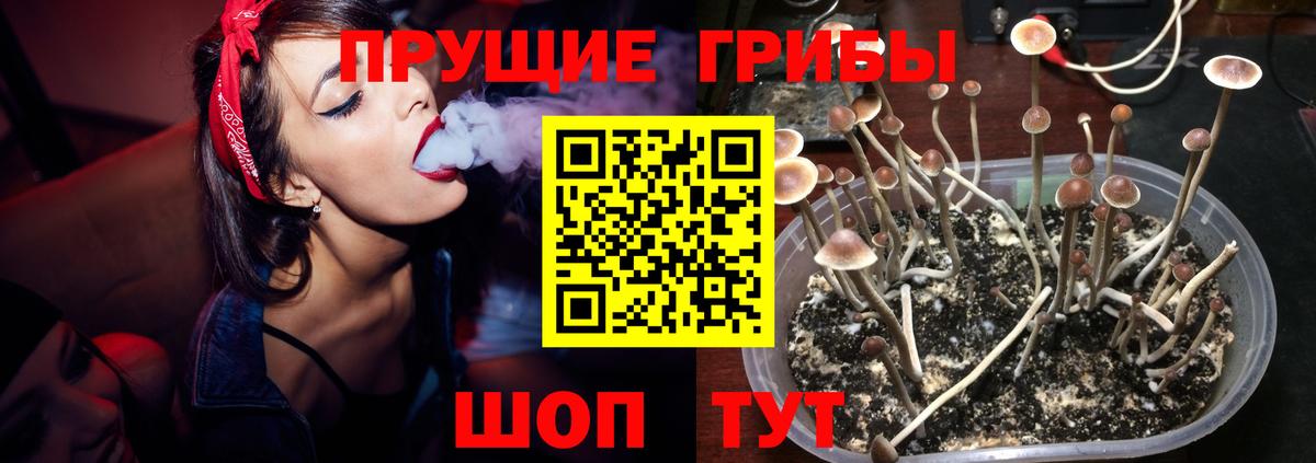Галлюциногенные грибы прущие грибы  Псилоцибиновые грибы Magic Shrooms  Азов  Вход с VPN 
